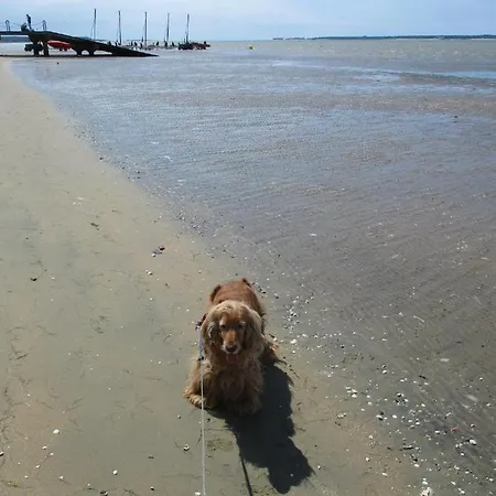 Ronce, 1mn ,des Cadeaux Euros Boo ! *